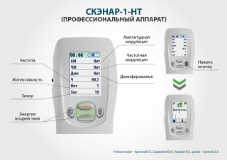 СКЭНАР-1-НТ (исполнение 01)  в Нижнем Тагиле купить Медицинская техника - denasosteo.ru 