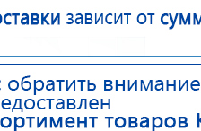 ЧЭНС-01-Скэнар-М купить в Нижнем Тагиле, Аппараты Скэнар купить в Нижнем Тагиле, Медицинская техника - denasosteo.ru